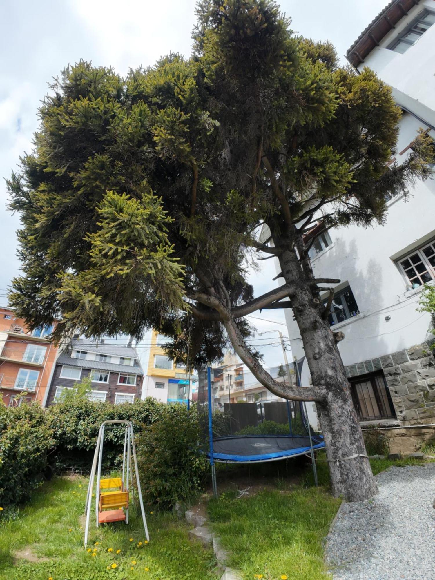 Temiscira Hostel San Carlos de Bariloche Bagian luar foto