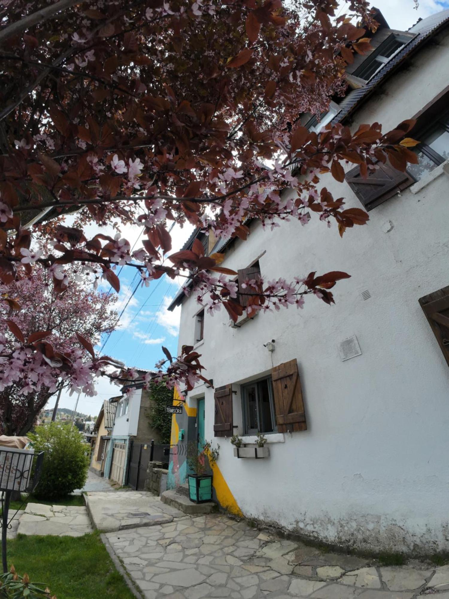 Temiscira Hostel San Carlos de Bariloche Bagian luar foto