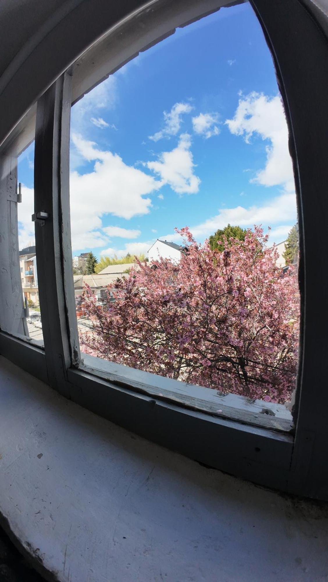 Temiscira Hostel San Carlos de Bariloche Bagian luar foto